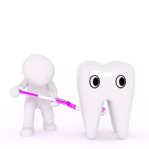 歯周病になりやすい部位について