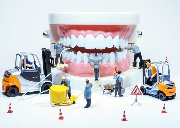 歯周病菌の活動について